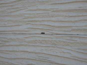 欠損箇所があります。