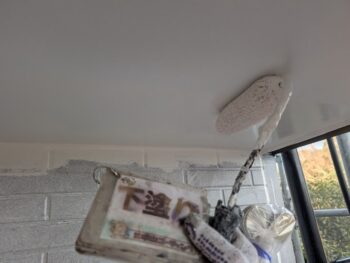 軒天井　下塗り塗装を行います。