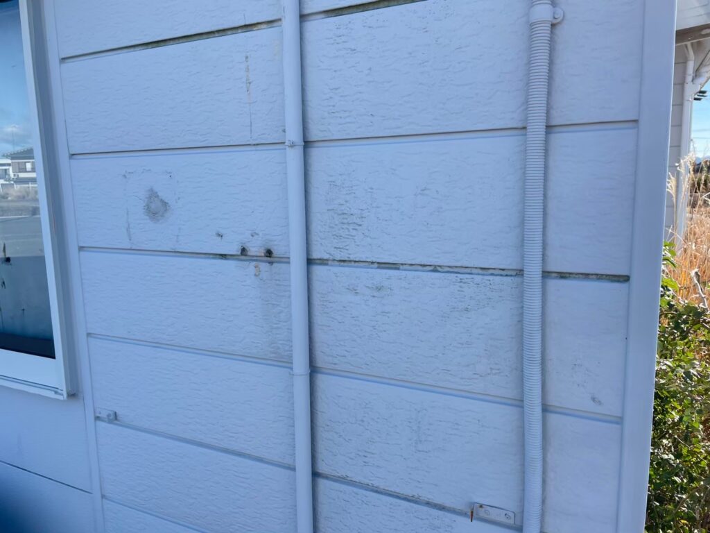 外壁の一部に黒ずみ汚れや苔・藻の付着が見られました