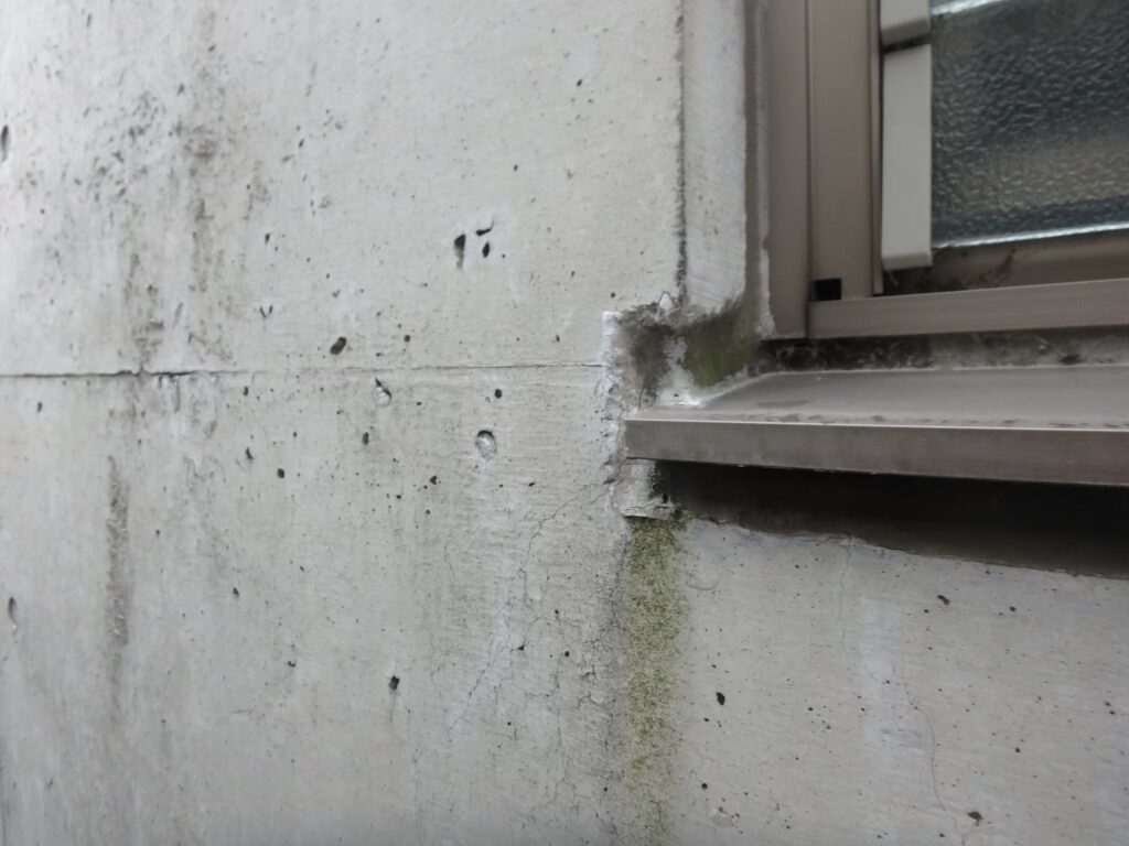 窓まわりに汚れやコケの付着が確認されました