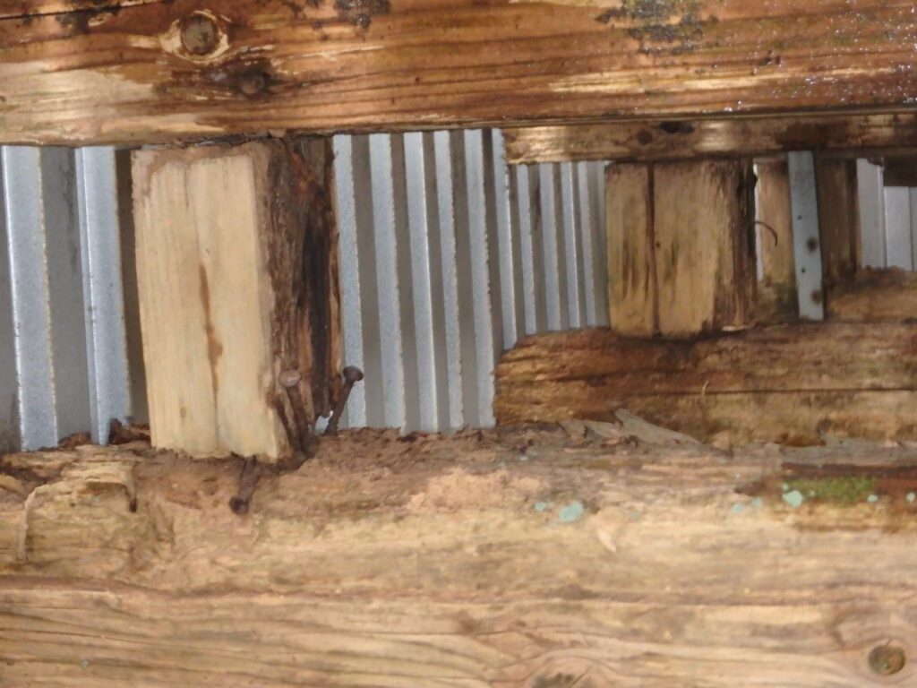 木部の腐朽が進み、構造材の傷みが見られました