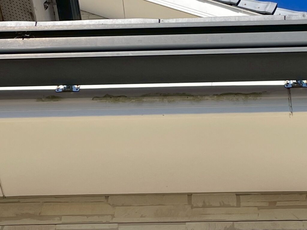 鼻隠し部分の拡大写真です
