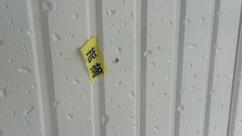 外壁の小さな塗り抜けも、点検でチェックしました