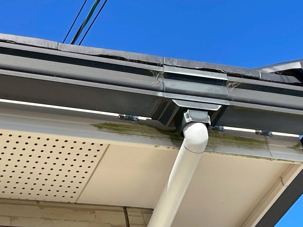 雨樋裏の鼻隠しには苔が発生していました